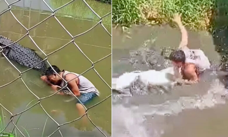 Ataque de cocodrilo en Filipinas