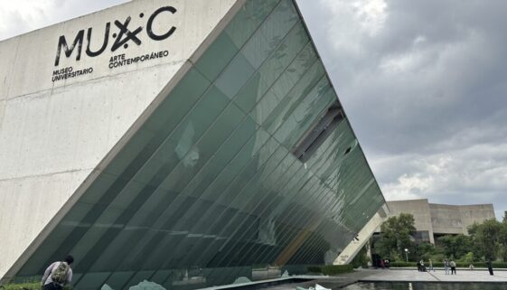 Daños en Instalaciones de la UNAM durante marcha contra gentrificación