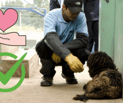 Advertencia sobre Entidades Informales en Rescate Animal